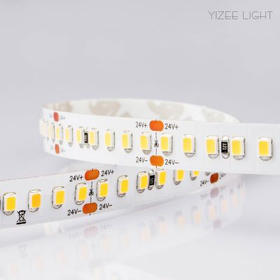 10 mm di larghezza DC24V Flessibile striscia LED 168LED/M Striscia LED ad alta densità
