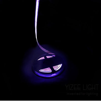 Striscia LED senza punti colorata Rgb Rgbw indirizzabile 784Chips/M 24V 12mm