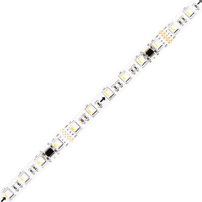 Lumi a strisce a LED DMX RGB digitali indirizzabili DC24V SMD5050 Strisce a LED programmabile