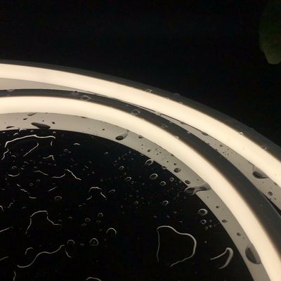 20*20 Top Emitting Led Flex IP67 DC24V Led Neon Flex Strip con tubo di silicone